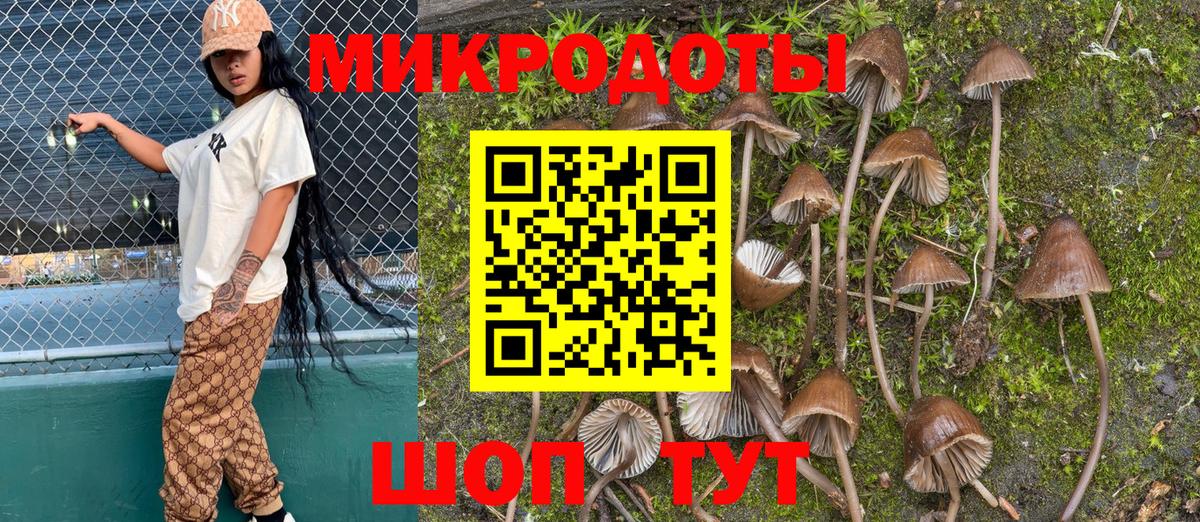 Псилоцибиновые грибы MAGIC MUSHROOMS  Галлюциногенные грибы Cubensis  Вход с VPN  Лысьва 